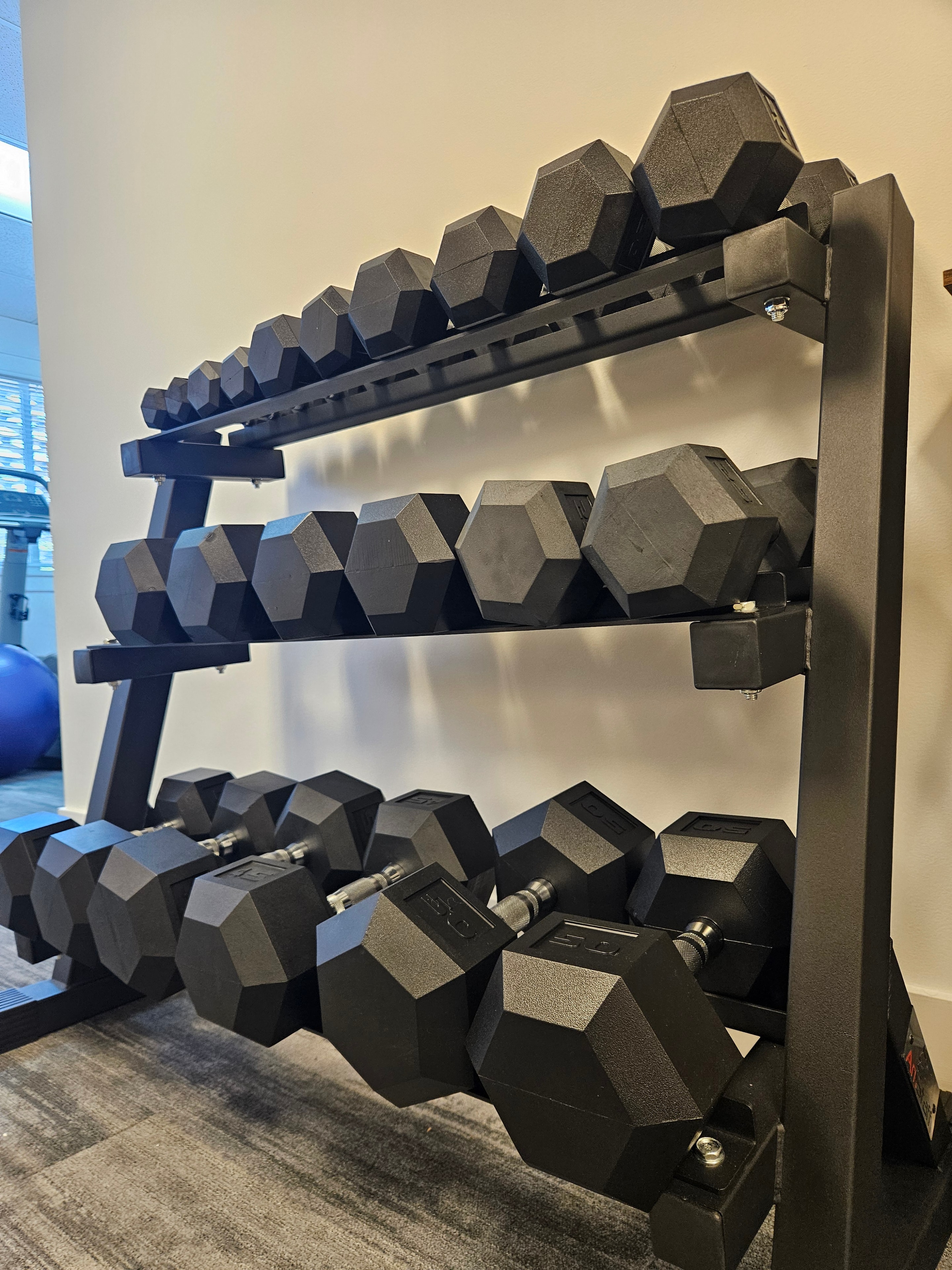 Dumbbell rack in the Botha Kinetics training studio